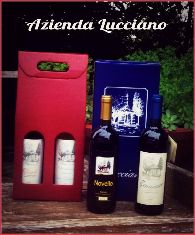 Agriturismo Lucciano Сан-Кашиано-ин-Валь-ди-Пеза Номер фото